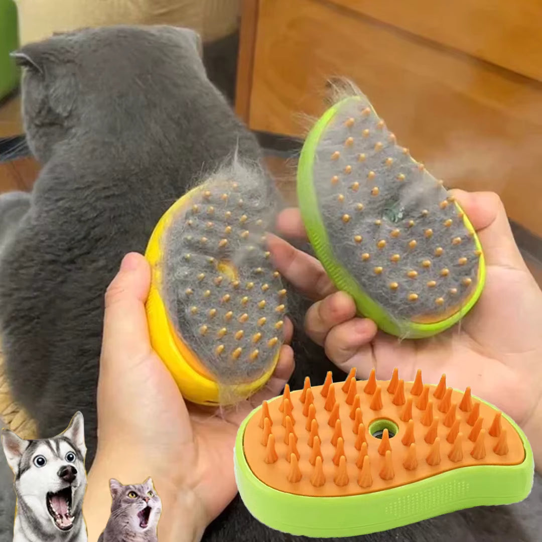 Cat brush