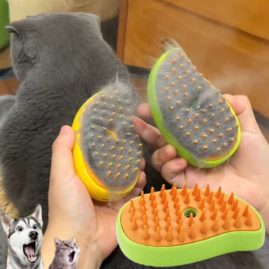Cat brush